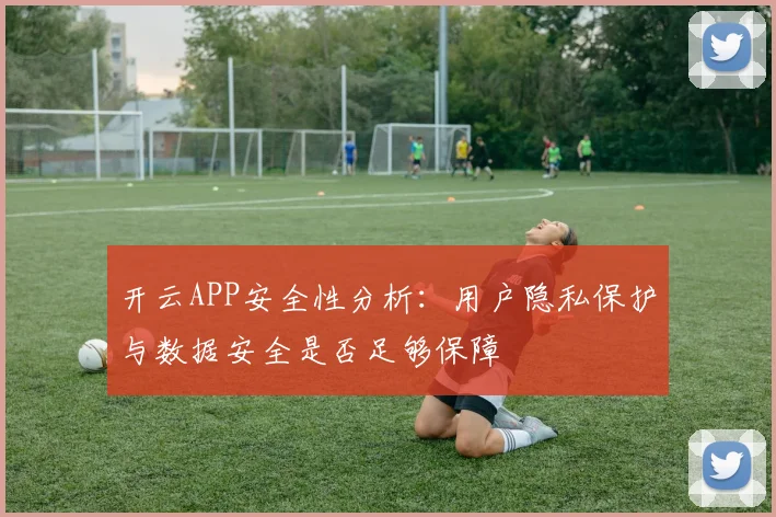 开云APP安全性分析：用户隐私保护与数据安全是否足够保障