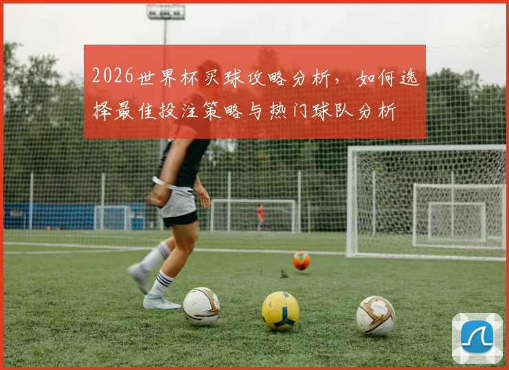 2026世界杯买球攻略分析，如何选择最佳投注策略与热门球队分析