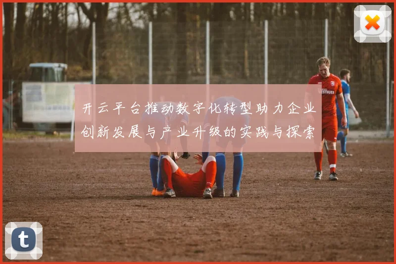 开云平台推动数字化转型助力企业创新发展与产业升级的实践与探索