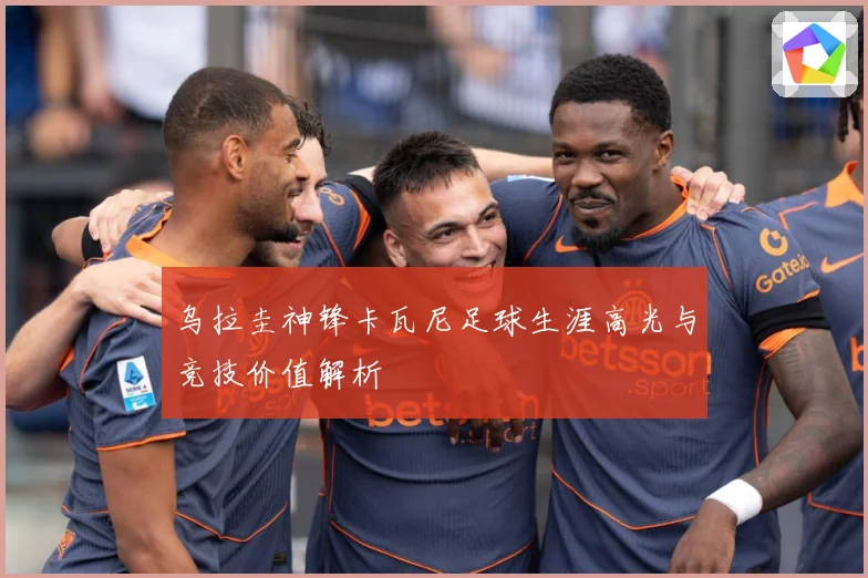乌拉圭神锋卡瓦尼足球生涯高光与竞技价值解析